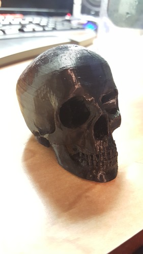 Skull 3D Print 16972 Skull 3D Print 16972