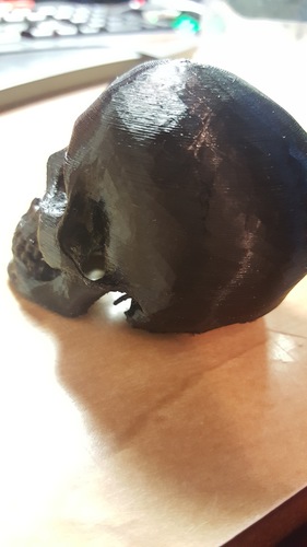 Skull 3D Print 16974 Skull 3D Print 16974