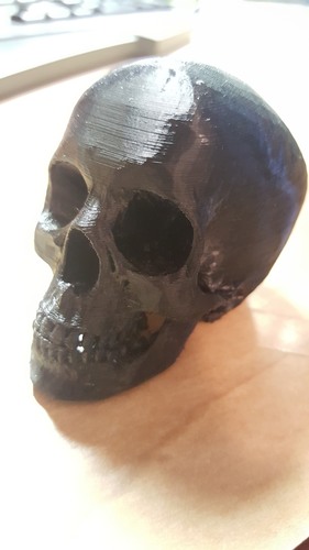 Skull 3D Print 16975 Skull 3D Print 16975