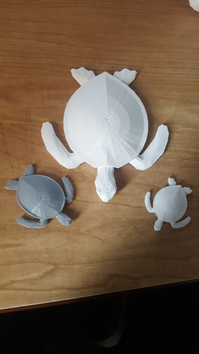 Sea Turtle Keychain 3D Print 17116 Sea Turtle Keychain 3D Print 17116
