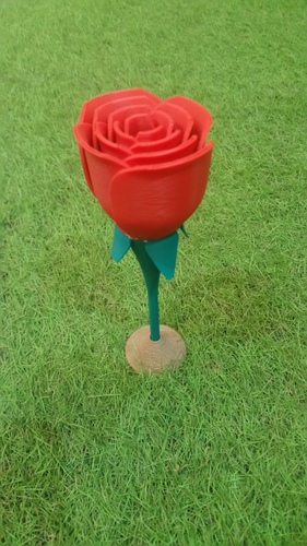 Rose two-piece 3D Print 17190 Rose two-piece 3D Print 17190