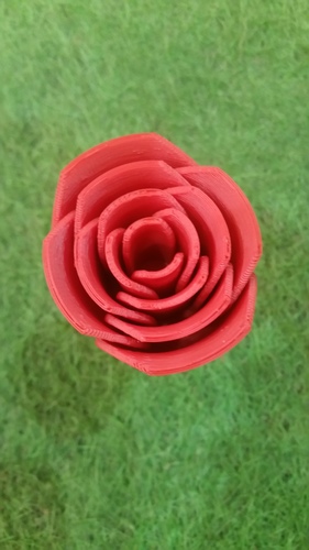 Rose two-piece 3D Print 17191 Rose two-piece 3D Print 17191