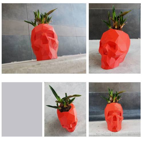 Low Poly Skull 3D Print 17195 Low Poly Skull 3D Print 17195
