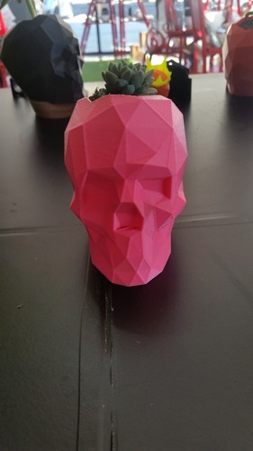 Low Poly Skull 3D Print 17196 Low Poly Skull 3D Print 17196