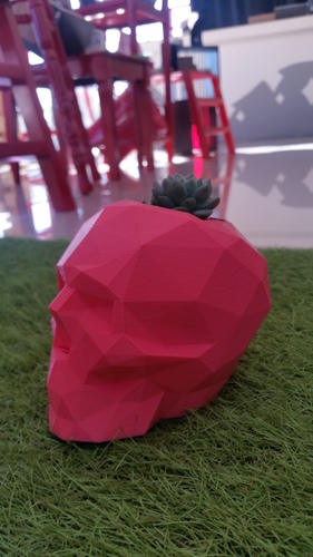 Low Poly Skull 3D Print 17197 Low Poly Skull 3D Print 17197