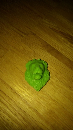 Refrigerator magnet rhino, lion,buffalo ,hippo and elephant 3D Print 17503 Refrigerator magnet rhino, lion,buffalo ,hippo and elephant 3D Print 17503