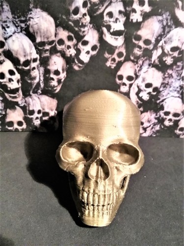 Human Skull 3D Print 17724 Human Skull 3D Print 17724