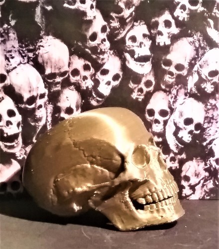 Human Skull 3D Print 17725 Human Skull 3D Print 17725