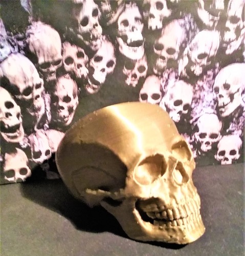 Human Skull 3D Print 17726 Human Skull 3D Print 17726