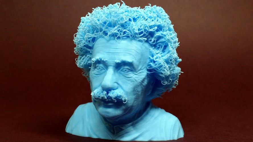 Hairy Einstein 3D Print 17835 Hairy Einstein 3D Print 17835