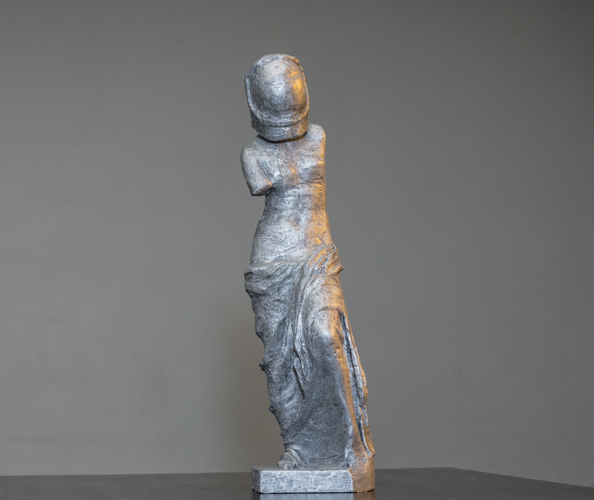 Venus de Space 3D Print 18009 Venus de Space 3D Print 18009