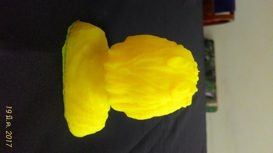 Einstein Bust (14K) 3D Print 18231 Einstein Bust (14K) 3D Print 18231