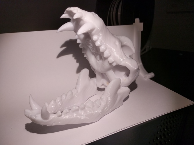 Boneheads S1: Wolf Skull w/ Jaw - 3DKitbash.com 3D Print 18340 Boneheads S1: Wolf Skull w/ Jaw - 3DKitbash.com 3D Print 18340