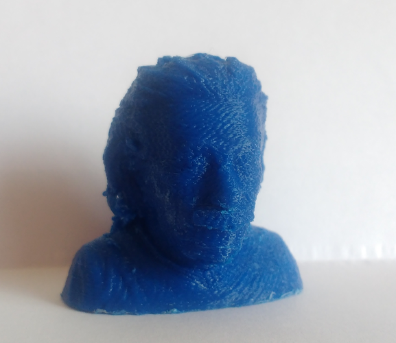 Einstein Bust (14K) 3D Print 18506 Einstein Bust (14K) 3D Print 18506
