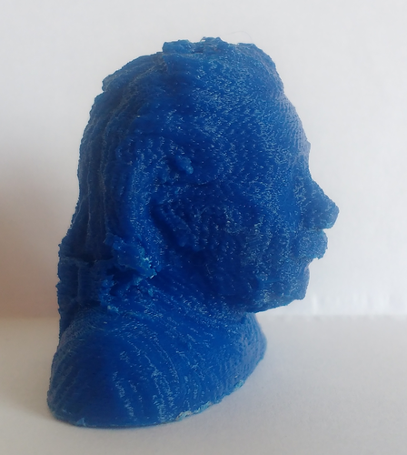 Einstein Bust (14K) 3D Print 18507 Einstein Bust (14K) 3D Print 18507