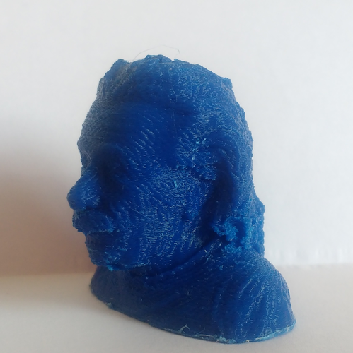 Einstein Bust (14K) 3D Print 18508 Einstein Bust (14K) 3D Print 18508