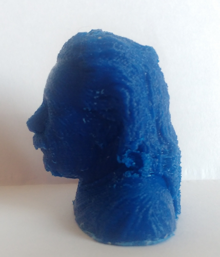 Einstein Bust (14K) 3D Print 18509 Einstein Bust (14K) 3D Print 18509