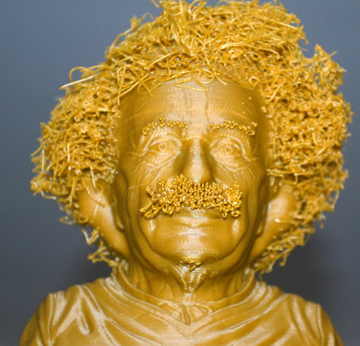 Hairy Einstein 3D Print 19033 Hairy Einstein 3D Print 19033