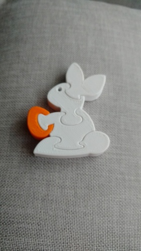 Bunny puzzle 3D Print 19107 Bunny puzzle 3D Print 19107