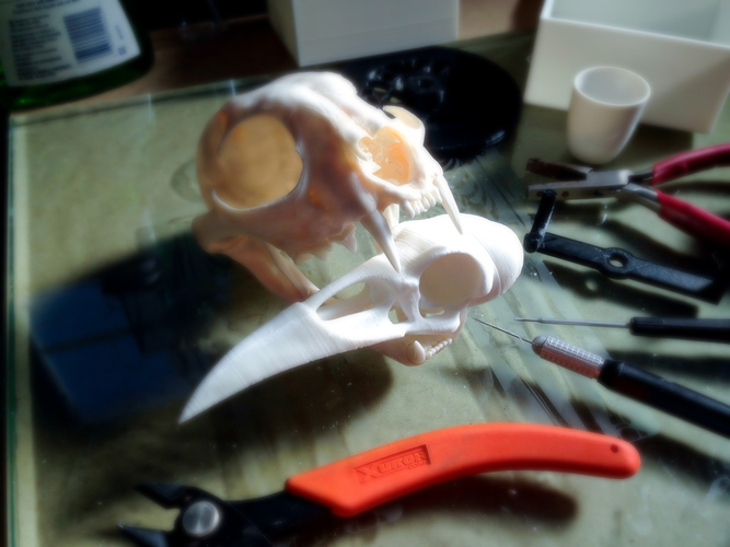 Boneheads: Raven - Skull Kit - PROMO - 3DKitbash.com 3D Print 19112 Boneheads: Raven - Skull Kit - PROMO - 3DKitbash.com 3D Print 19112