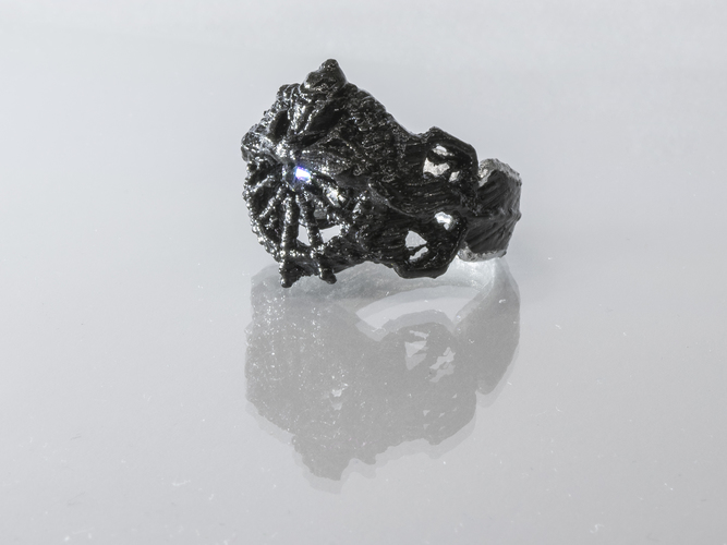 final fantasy 15 ring of the lucii 3D Print 19534 final fantasy 15 ring of the lucii 3D Print 19534