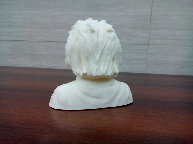 Einstein Bust (14K) 3D Print 1982 Einstein Bust (14K) 3D Print 1982