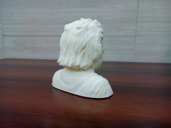 Einstein Bust (14K) 3D Print 1983 Einstein Bust (14K) 3D Print 1983