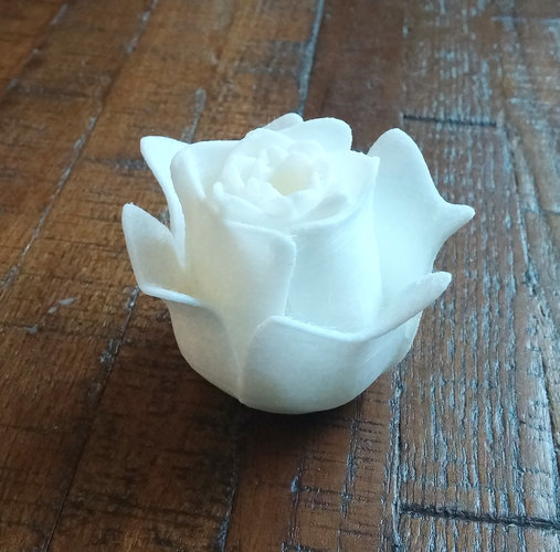 Open Rose 3D Print 21107 Open Rose 3D Print 21107