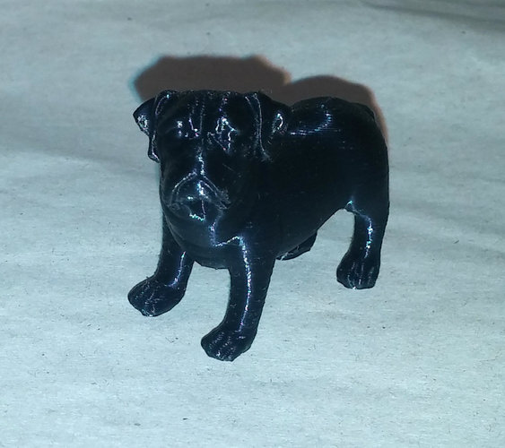 Dog scan Chien 3D Print 21110 Dog scan Chien 3D Print 21110