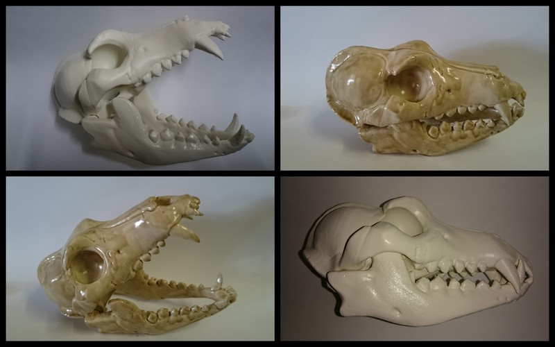 Boneheads S1: Wolf Skull w/ Jaw - 3DKitbash.com 3D Print 2118 Boneheads S1: Wolf Skull w/ Jaw - 3DKitbash.com 3D Print 2118
