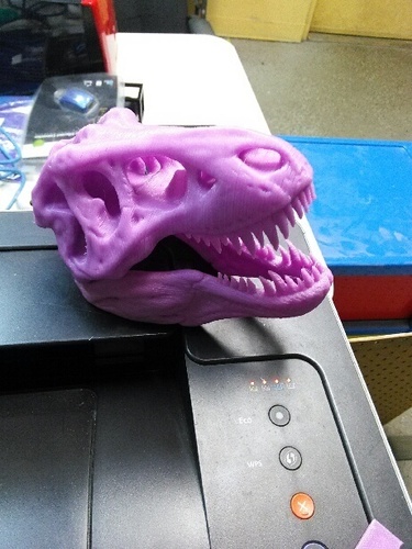 The T-Rex Skull 3D Print 21256 The T-Rex Skull 3D Print 21256
