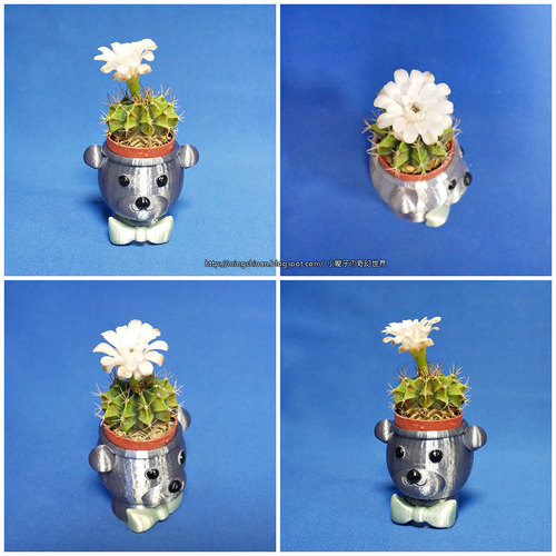 BEAR BRAVO Potted plants 3D Print 21264 BEAR BRAVO Potted plants 3D Print 21264