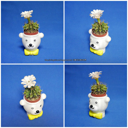 BEAR BRAVO Potted plants 3D Print 21265 BEAR BRAVO Potted plants 3D Print 21265