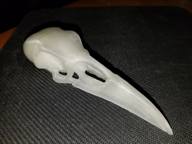 Boneheads: Raven - Skull Kit - PROMO - 3DKitbash.com 3D Print 21281 Boneheads: Raven - Skull Kit - PROMO - 3DKitbash.com 3D Print 21281
