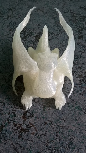 The Dragon 3D Print 21802 The Dragon 3D Print 21802