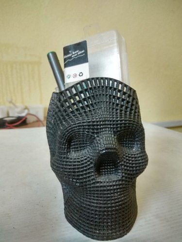 Wireframe Skull Pencil Holder (For The Love of Dog) 3D Print 21824 Wireframe Skull Pencil Holder (For The Love of Dog) 3D Print 21824