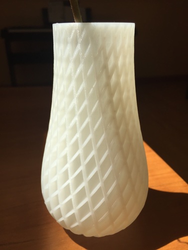 Spiral Vase 3D Print 22046 Spiral Vase 3D Print 22046