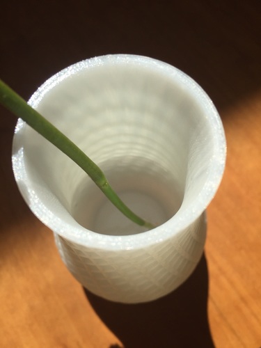 Spiral Vase 3D Print 22047 Spiral Vase 3D Print 22047