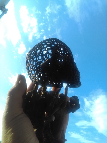 Skull lamps - Voronoi Style 3D Print 22199 Skull lamps - Voronoi Style 3D Print 22199