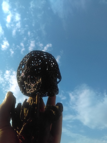 Skull lamps - Voronoi Style 3D Print 22200 Skull lamps - Voronoi Style 3D Print 22200