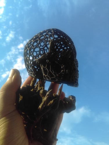 Skull lamps - Voronoi Style 3D Print 22202 Skull lamps - Voronoi Style 3D Print 22202