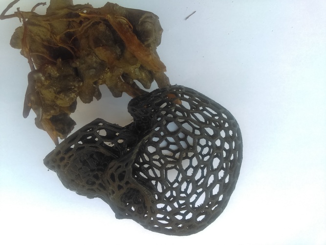 Skull lamps - Voronoi Style 3D Print 22203 Skull lamps - Voronoi Style 3D Print 22203