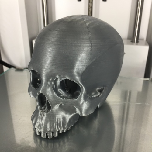 Skull 3D Print 22438 Skull 3D Print 22438