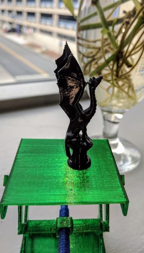 Aria the Dragon 3D Print 22576 Aria the Dragon 3D Print 22576