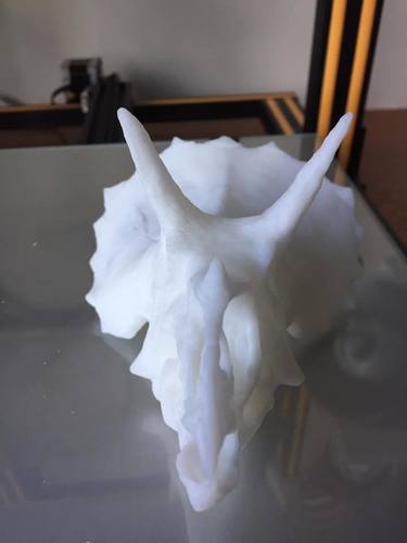Triceratops Skull 3D Print 23489 Triceratops Skull 3D Print 23489
