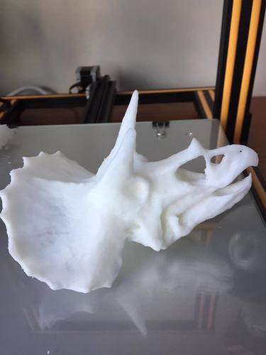 Triceratops Skull 3D Print 23490 Triceratops Skull 3D Print 23490