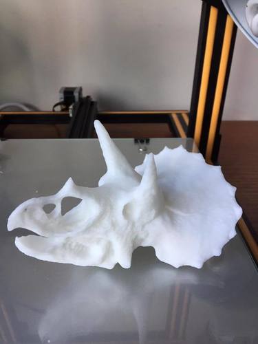 Triceratops Skull 3D Print 23491 Triceratops Skull 3D Print 23491