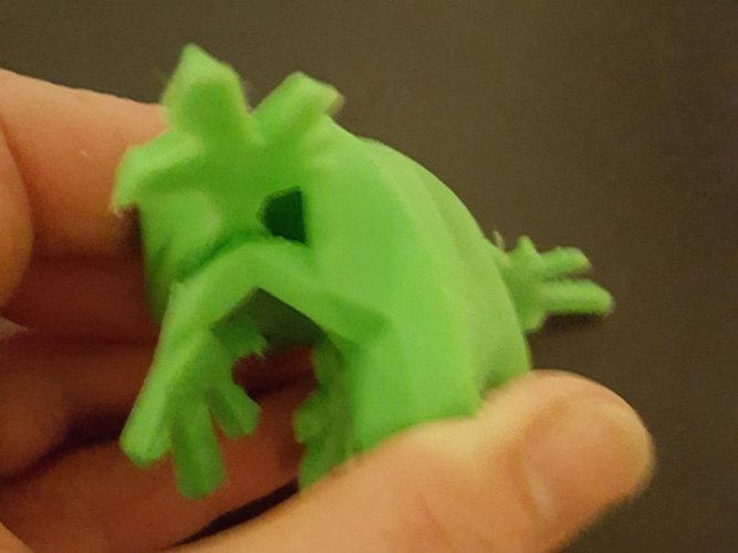 Low-Poly Frog 3D Print 23792 Low-Poly Frog 3D Print 23792