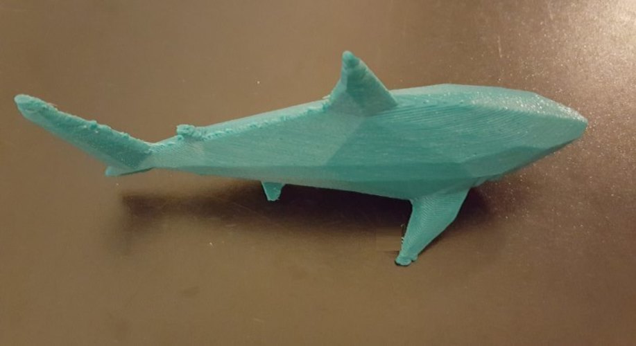 Low-Poly Shark 3D Print 23794 Low-Poly Shark 3D Print 23794