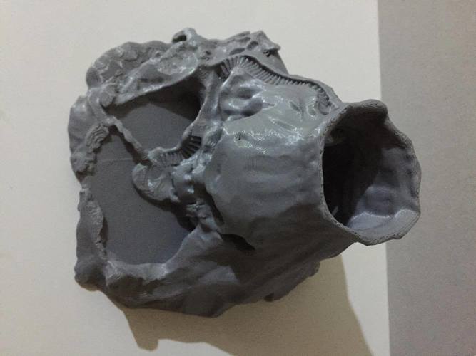Skull Island 3D Print 24315 Skull Island 3D Print 24315